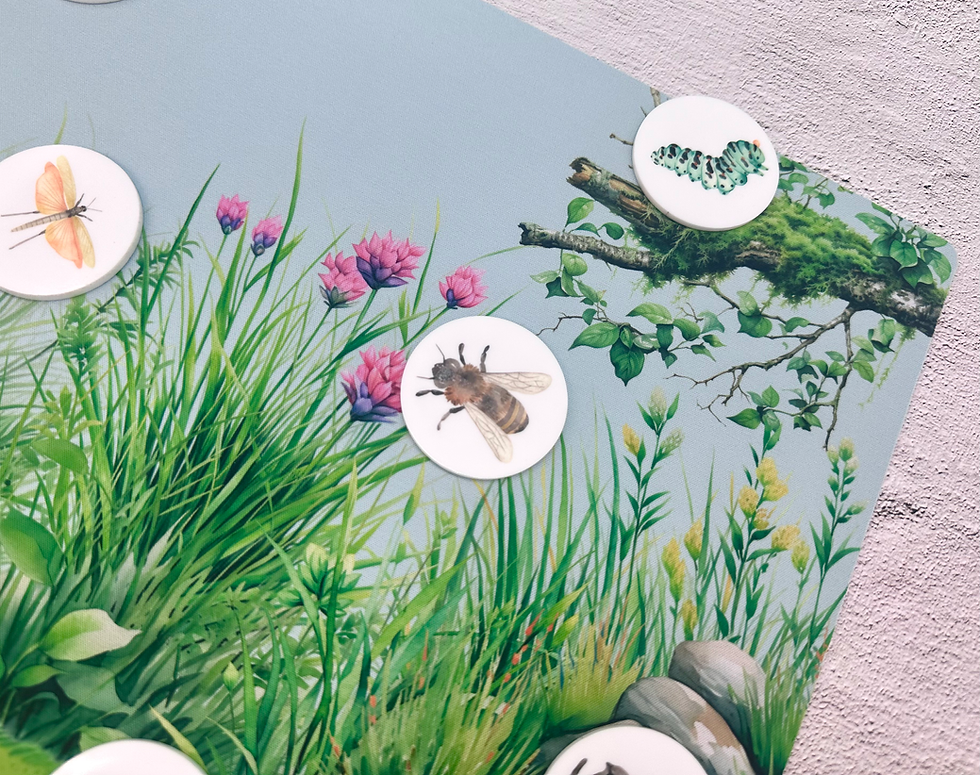 Thumbnail: Insect Habitat Play Mat - Background for Wooden Insects or Acrylic Coins, Bugs