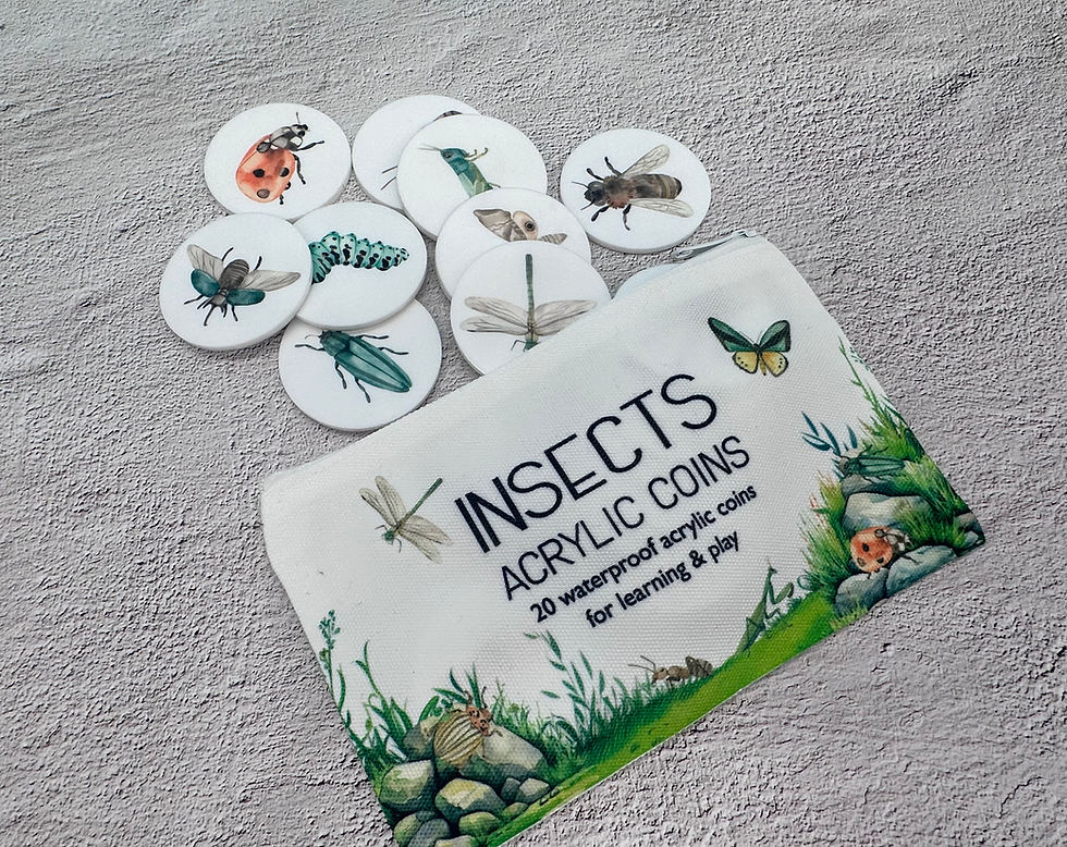 Insect Acrylic Coins - Bugs, Insects, Washable Kids Toys, Educational Toy