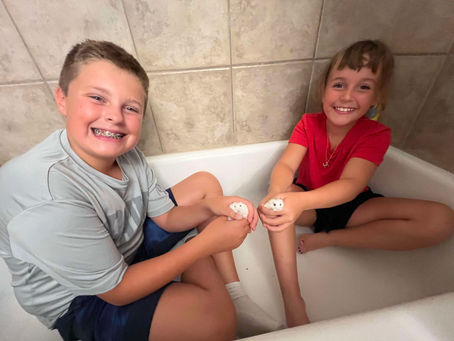 What to do When Sh!t Hits the Fan