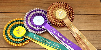 Trick Rosettes.jpg