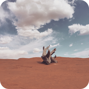 Protect Wild Spaces - Wallace Stegner