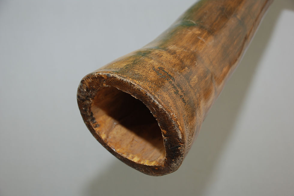 Thumbnail: דידגרידו אגבה