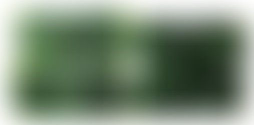 Lunar New Year Stock Update