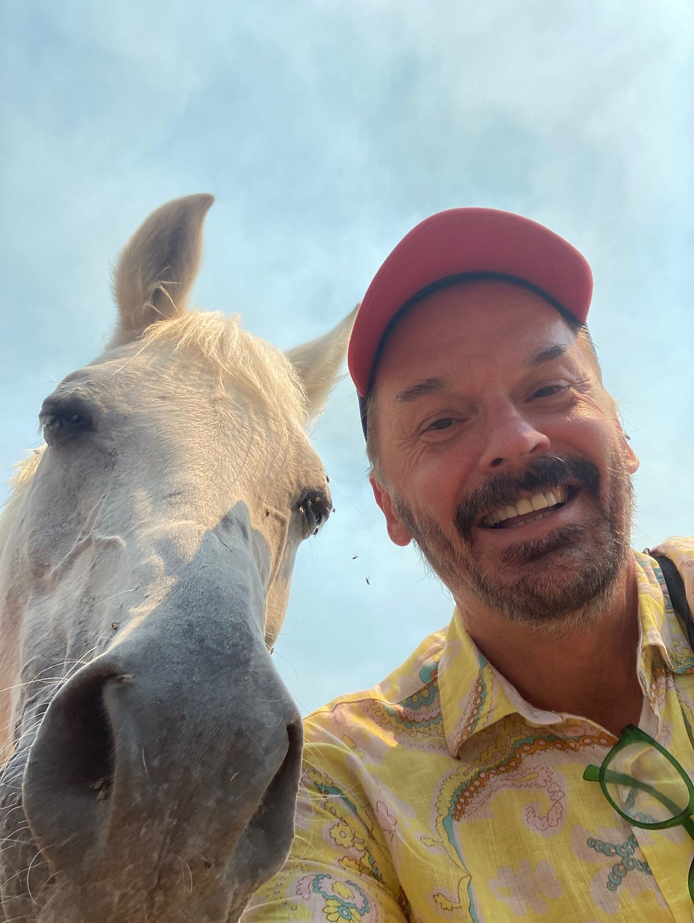 Reiten in Barcelona – Guide mit weißem Pferd in Katalonien