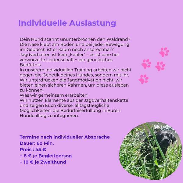 Individuelle Auslastung für Hunde
