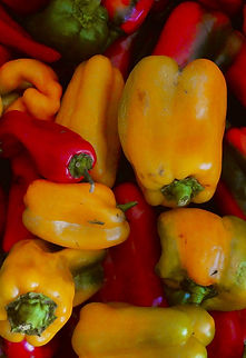 poivrons bio du potager de sonnaz