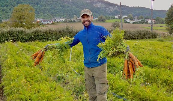 carottes bio du potager de sonnaz