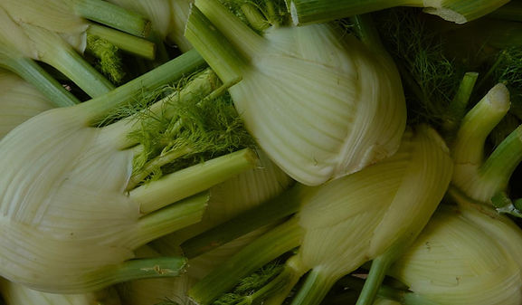 fenouil bio du potager de sonnaz