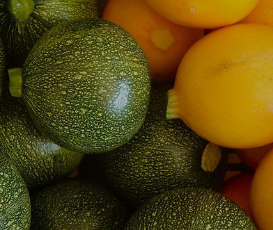 courgette bio du potager de sonnaz