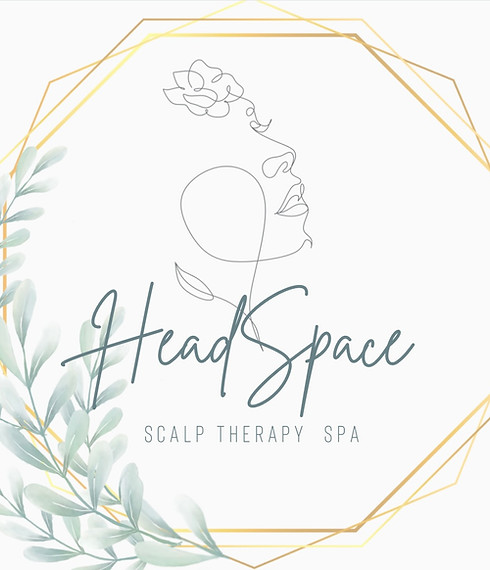 HeadSpace Logo