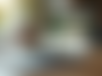 Finding the Best Holistic Health Practitioners Online