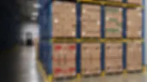 Zotty ltd