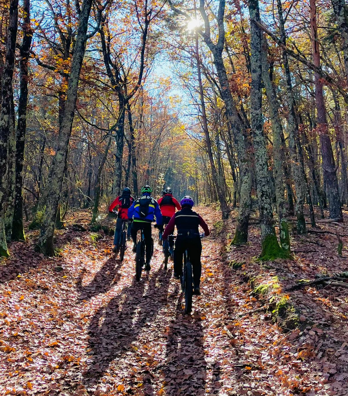 PHOTO-2023-12-03-18-14-15_edited.png