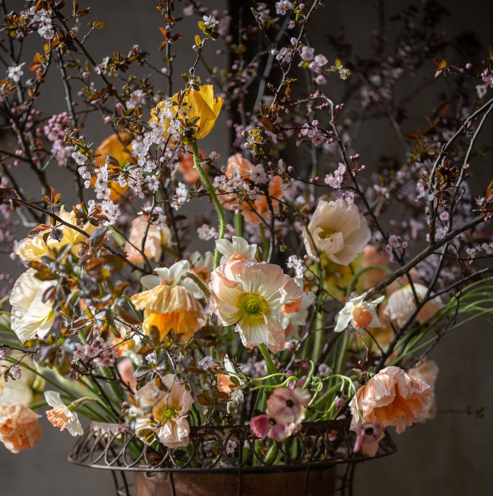Composizione floreale di papaveri e rami fioriti