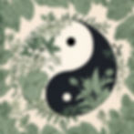 DBT Dialectic Balance