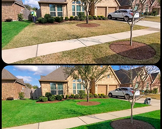 Dull to a Vibrant Green Makeover