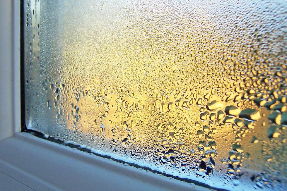 Condensation: Causes and Cures: A Comprehensive UK Homeowner Guide