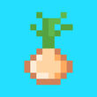 OniionCraft
