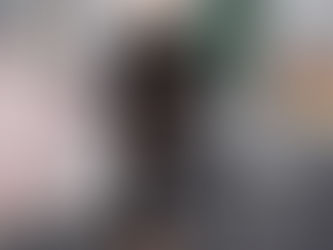 Havoc X Rogue Allure |14