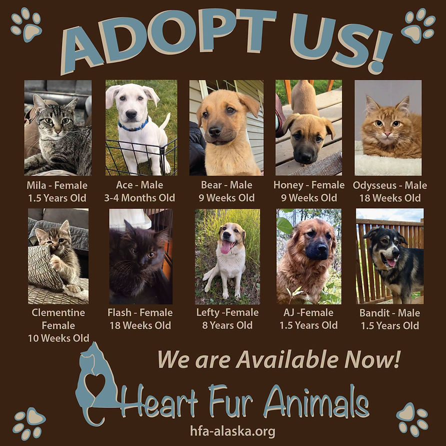 Adoptable Pets - 9-23.jpeg