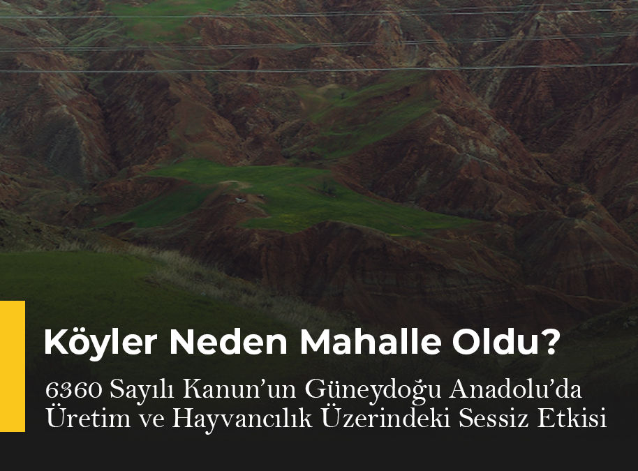 Köyler Neden Mahalle Oldu? 6360 Sayılı Kanun’un Güneydoğu Anadolu’da Üretim ve Hayvancılık Üzerindeki Sessiz Etkisi