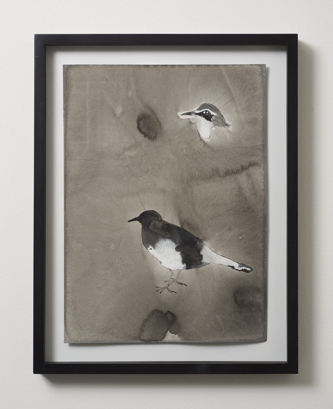 תמר רודד שבתאי I צופית