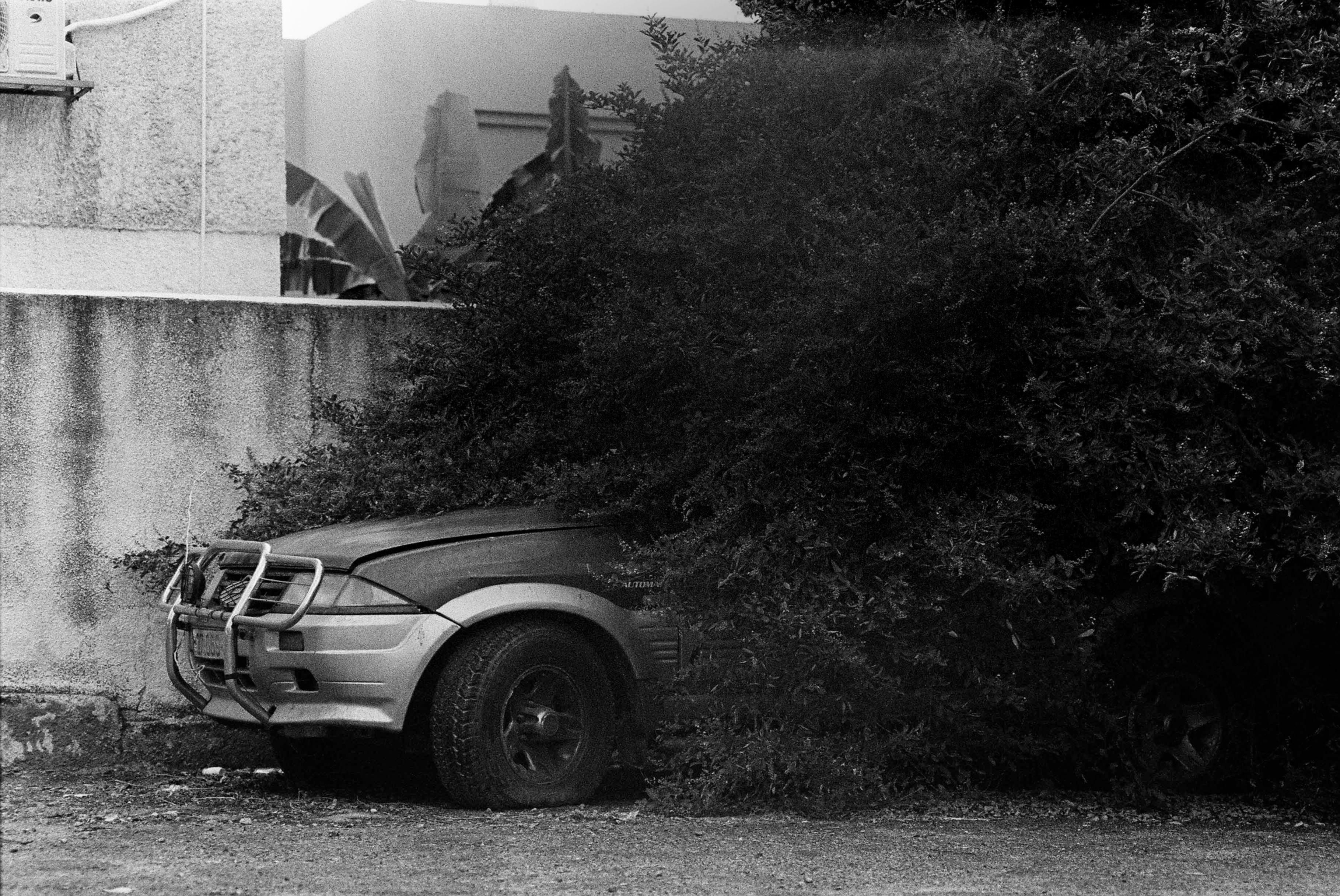 נתנאל פז | הצצה