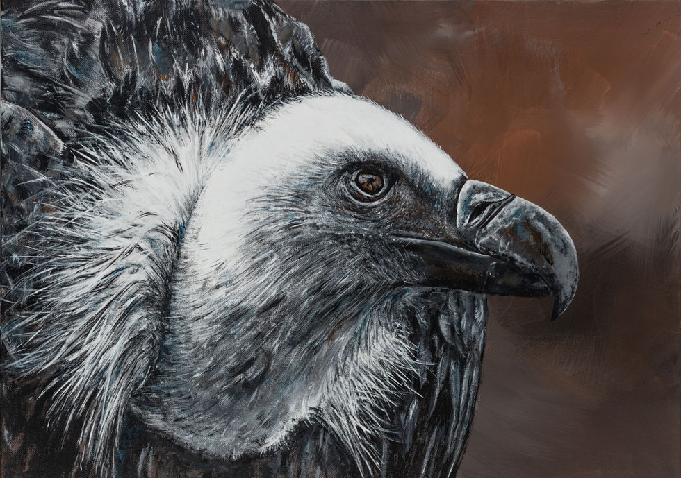 Vautour,
Peinture acrylique,
Sam,
Samantha NICOLAS,
Artiste - Peintre