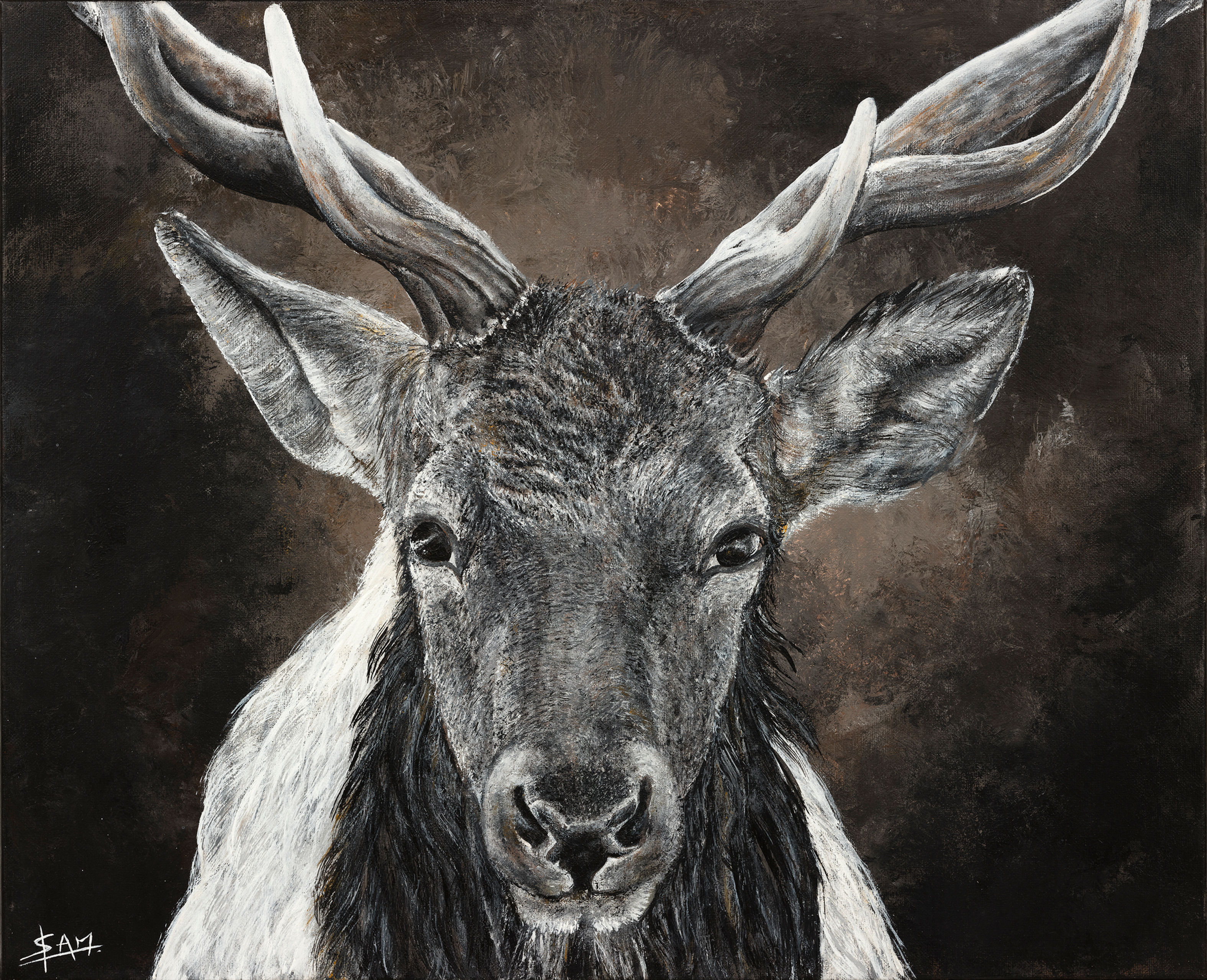 Tirage d'Art - Cerf 2025
