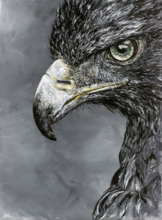Aigle,
Rapace,
Peinture acrylique,
Samantha NICOLAS,
Artiste Peintre
