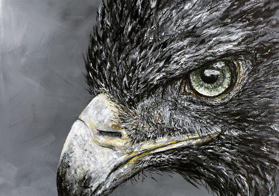 Aigle,
Peinture Acrylique,
Sam,
Samantha NICOLAS,
Artiste Peintre