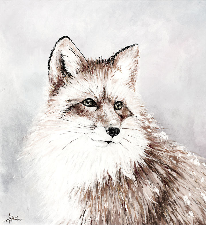 Renard,
Peinture Acrylique,
Sam,
Samantha NICOLAS,
Artiste Peintre