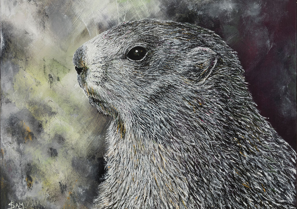 Marmotte, Marmota Marmota, Animaux sauvages emblématique des Alpes Française. Samantha NICOLAS Artiste Peintre Professionnelle Animalière Engagée.