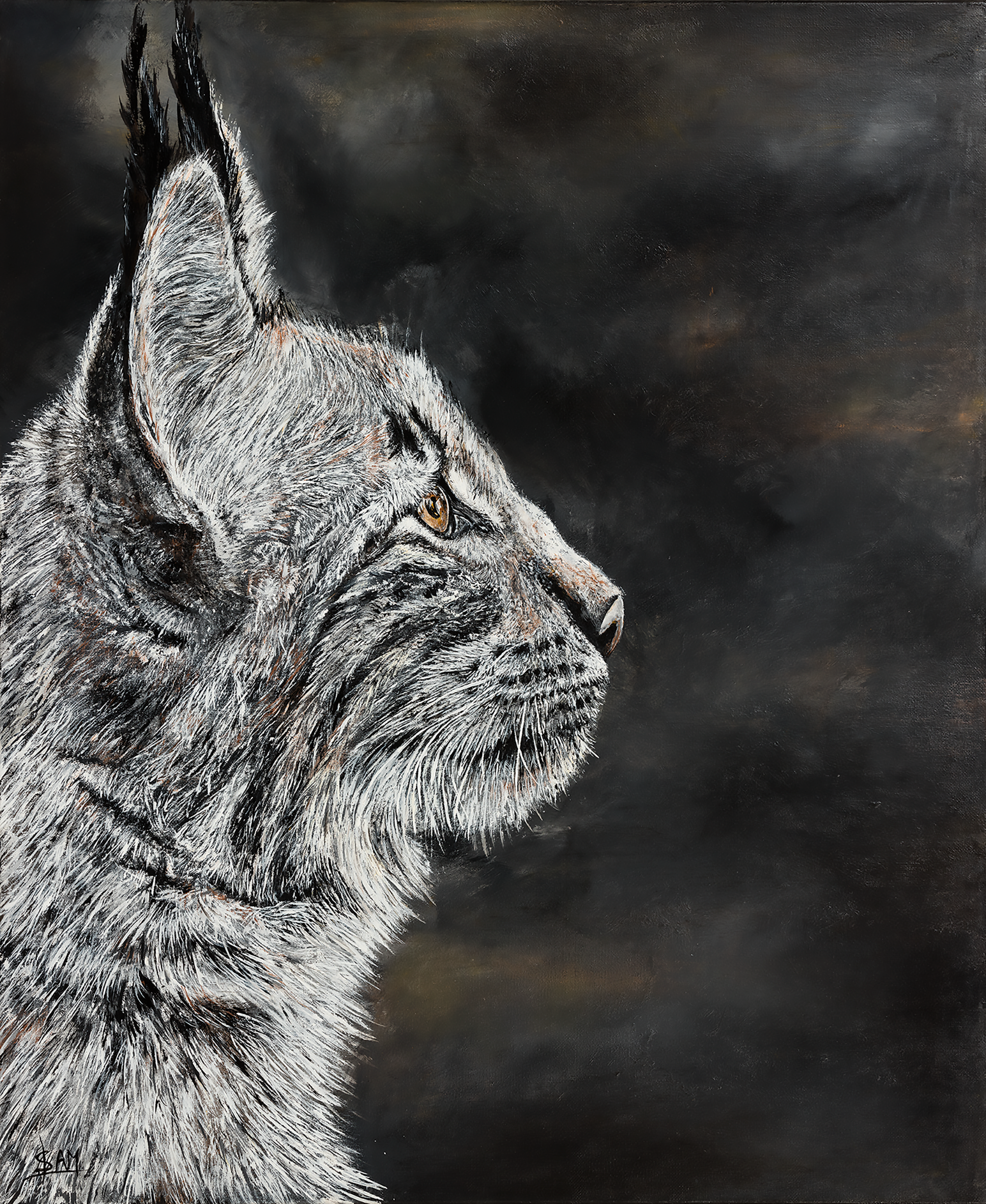 Tirage d'Art - Lynx 2024