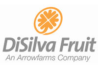 Disilva Logo.jpeg