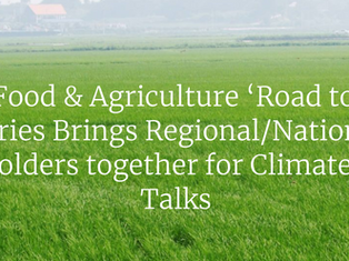 Road to COP28’ Series Brings Regional/National Stakeholders together for Climate Action Talks