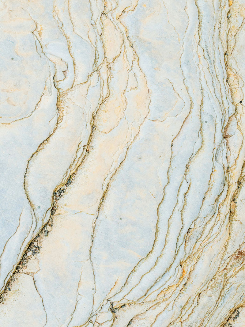 art. 37
