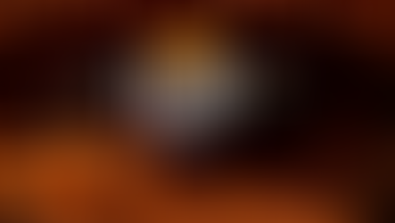 Celeiro Festival Curitiba com shows sertanejos e churrasco premium na Pedreira Paulo Leminski