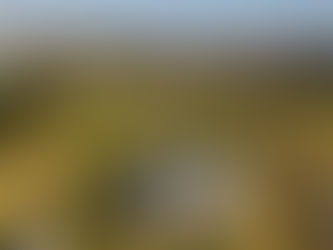 Vista de prédios residenciais em Curitiba, onde o ticket médio da locação superou R$ 2,5 mil em junho de 2026.