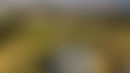 Vista de prédios residenciais em Curitiba, onde o ticket médio da locação superou R$ 2,5 mil em junho de 2026.