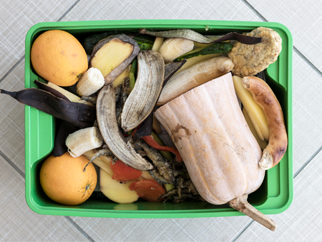 Consumo consciente: 6 dicas para reduzir desperdícios e valorizar os alimentos no dia a dia