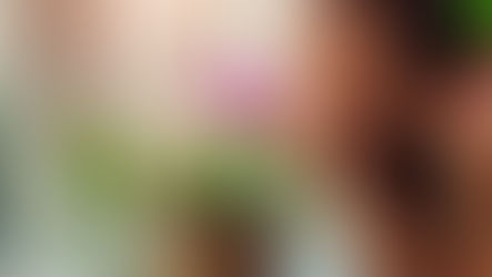 Nem todo verde faz bem: saiba quais plantas podem causar alergias dentro de casa