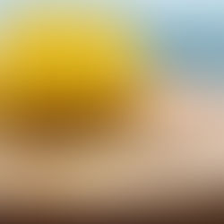 Suíça sedia World Cheese Awards 2025 entre 13 e 15 de novembro; Brasil tem chances reais de subir ao pódio