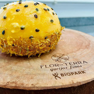 Suíça sedia World Cheese Awards 2025 entre 13 e 15 de novembro; Brasil tem chances reais de subir ao pódio