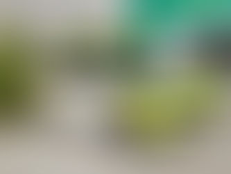 Laboratório de Curitiba reduz em 90% as recoletas