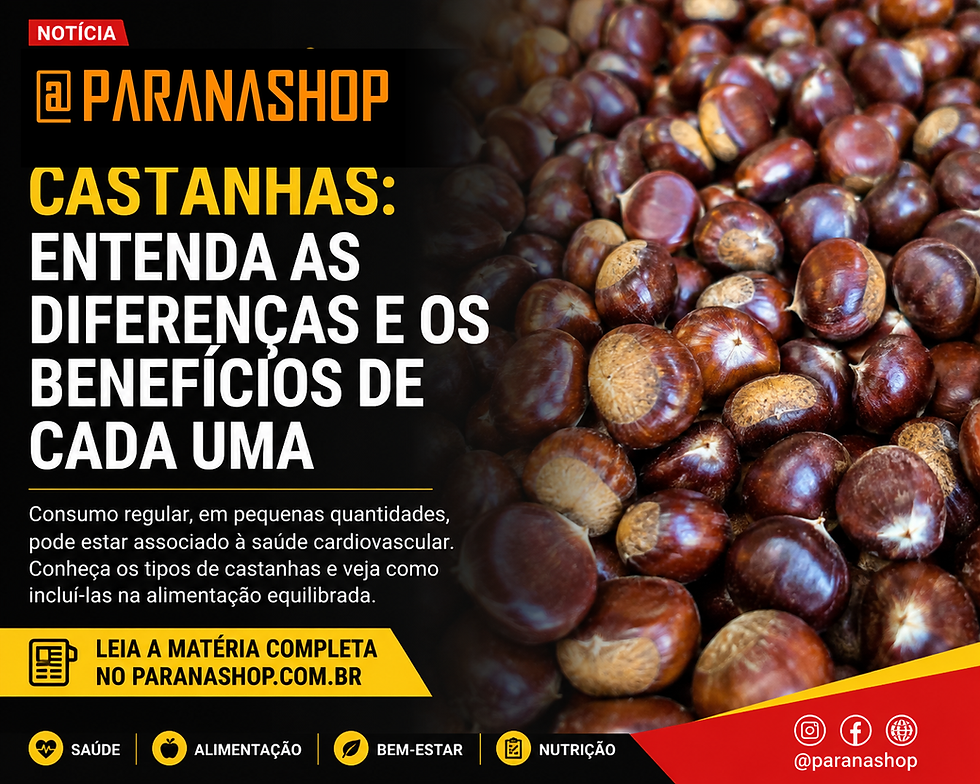 Mix de castanhas e oleaginosas em pauta sobre diferenças, benefícios e cuidados no consumo.