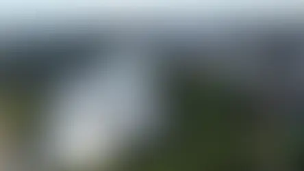 Londrina: o que fazer e conhecer no norte do Paraná