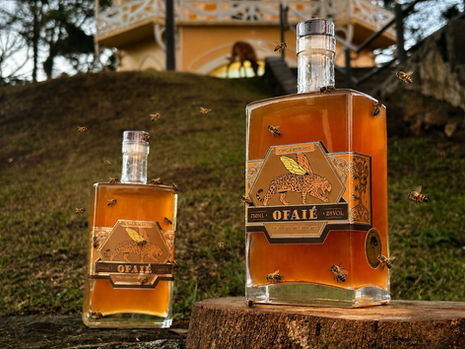 Cachaça artesanal brasileira envelhecida em barris de madeira com mel silvestre
