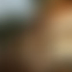 Vista aérea da Ilha do Mel Lodges com lodges sobre decks de madeira cercados pela natureza da Praia do Istmo.