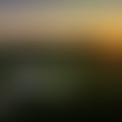 Vinhos Verdes reforçam presença e compromisso com o mercado brasileiro em 2025